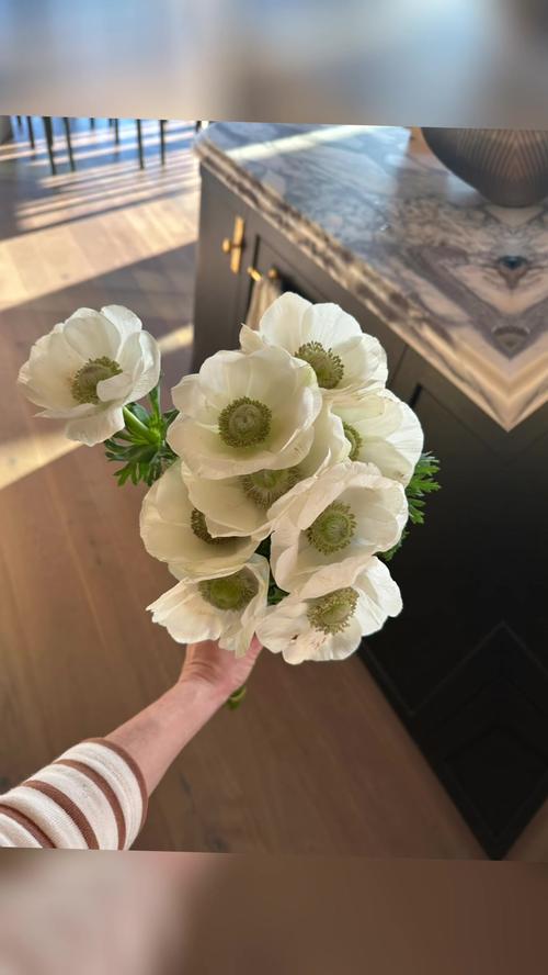 Post by jesskleinstudio