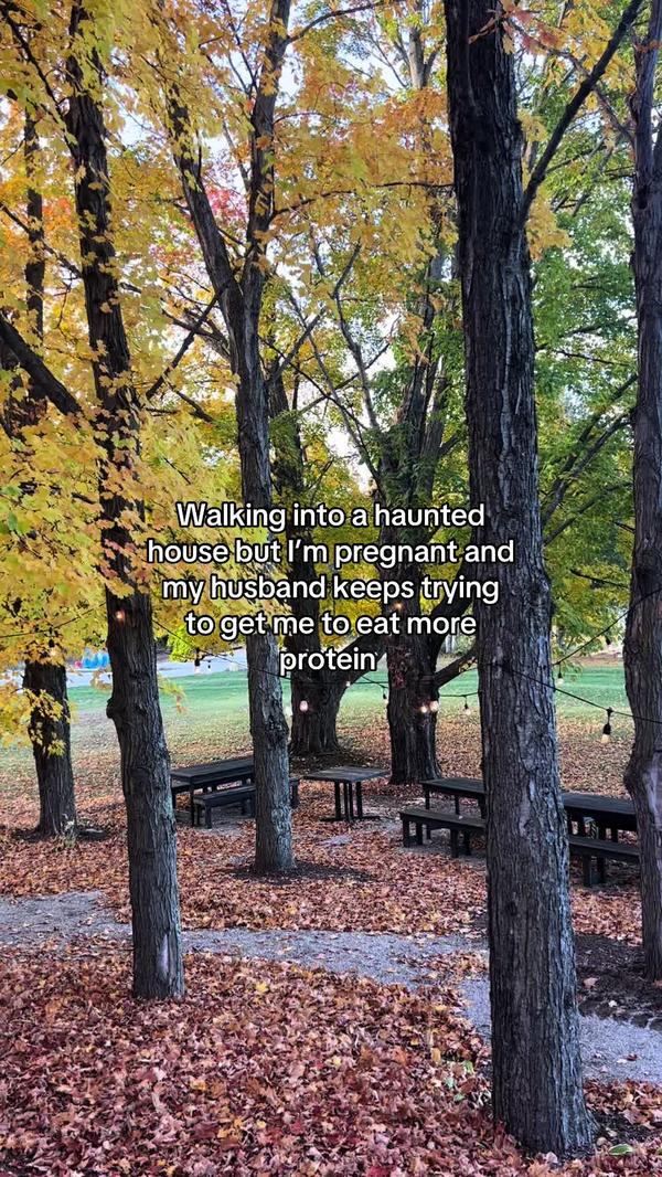 Post by ashmichalski