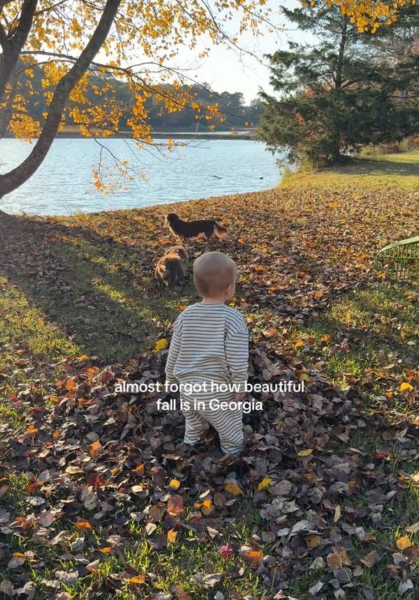 Post by evolvingwitherin