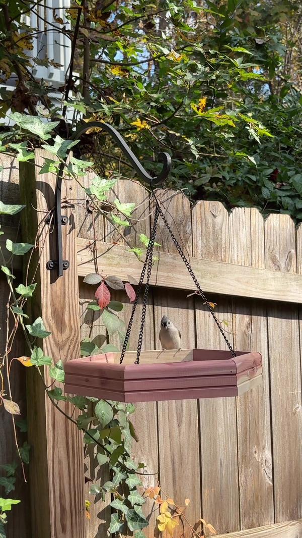 Post by athomewithamandaapple