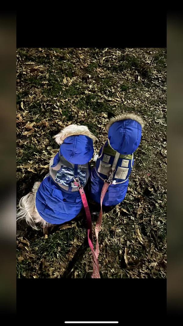 Post by thepuppytoddlers