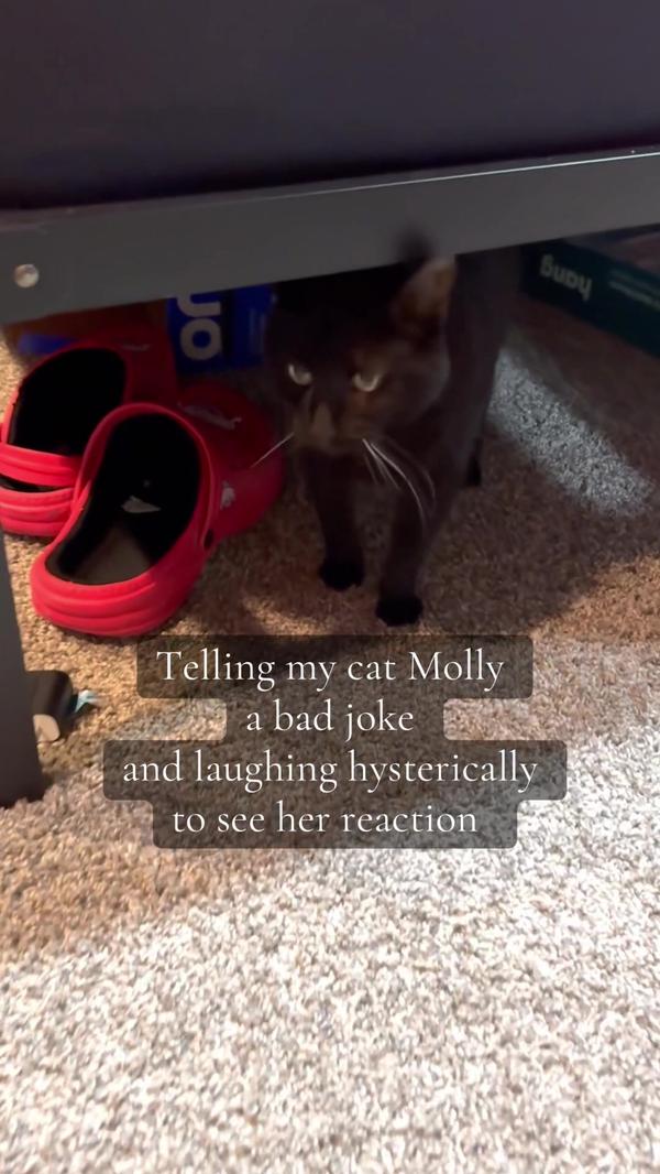 Post by ashleys_urban_homestead