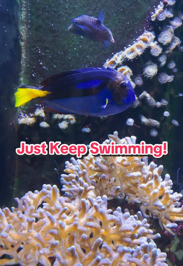 Post by disneylicious.haley