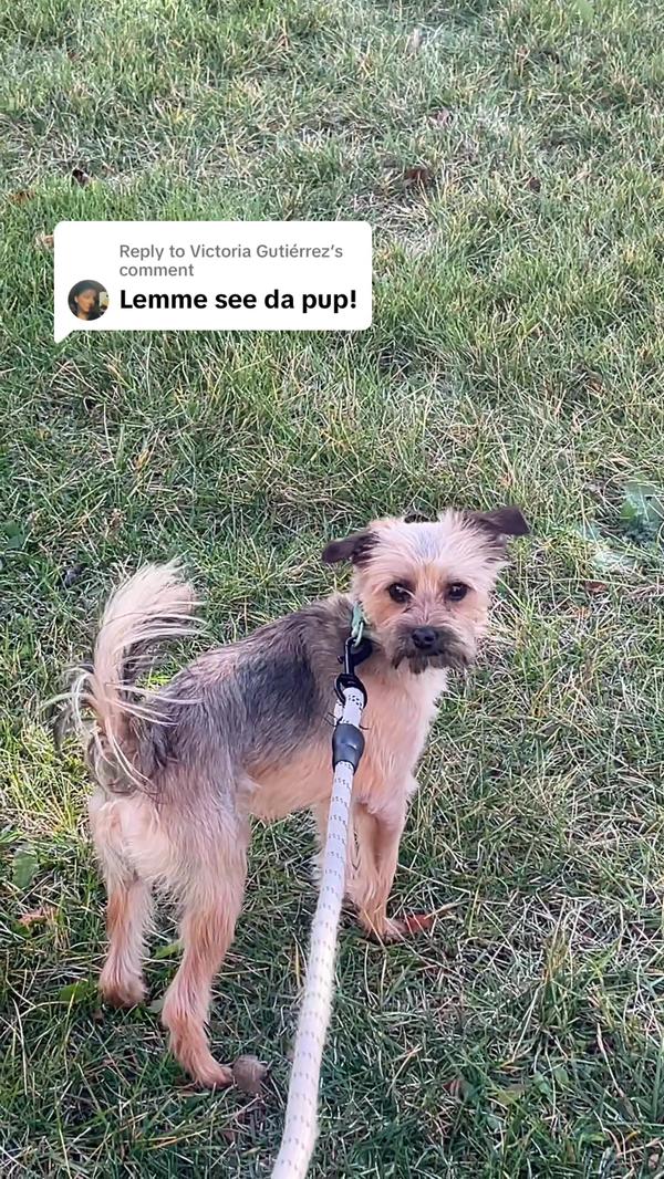 Post by crosscaptures