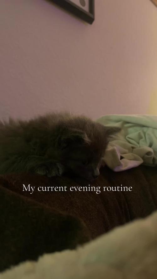 Post by victoriapainterr