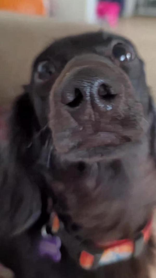 Post by justbugginout