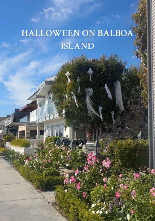 Post by claudiarosecorzan