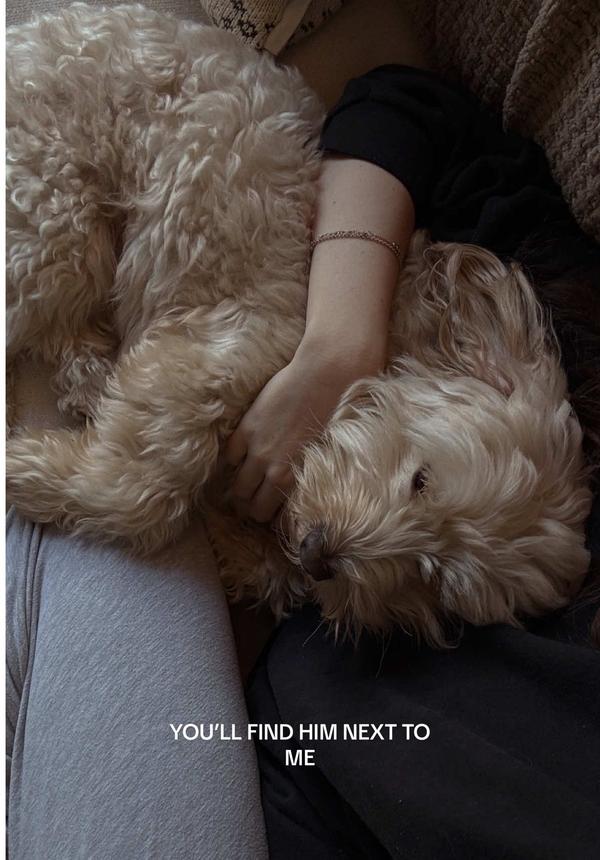 Post by ashtontfisher