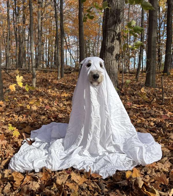 Post by kissmychoos.com