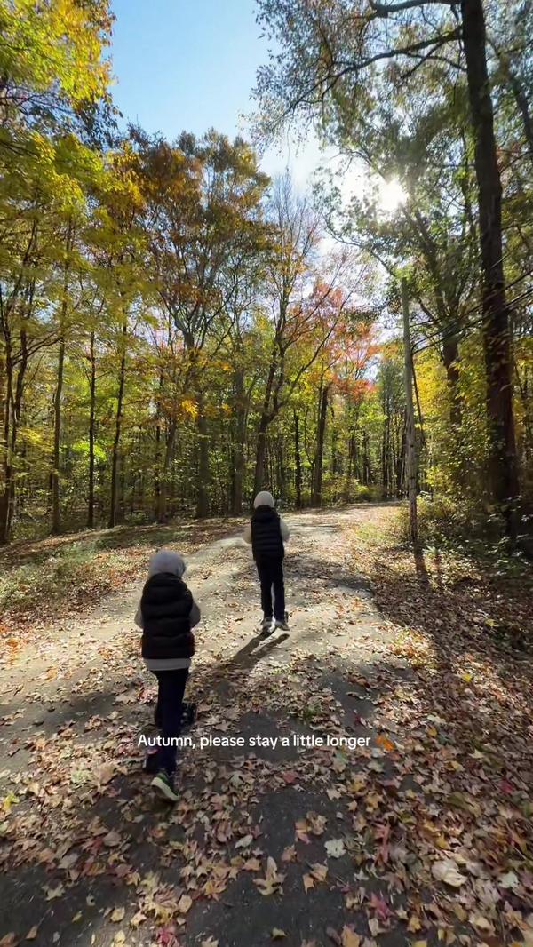 Post by nejdanova.ugc