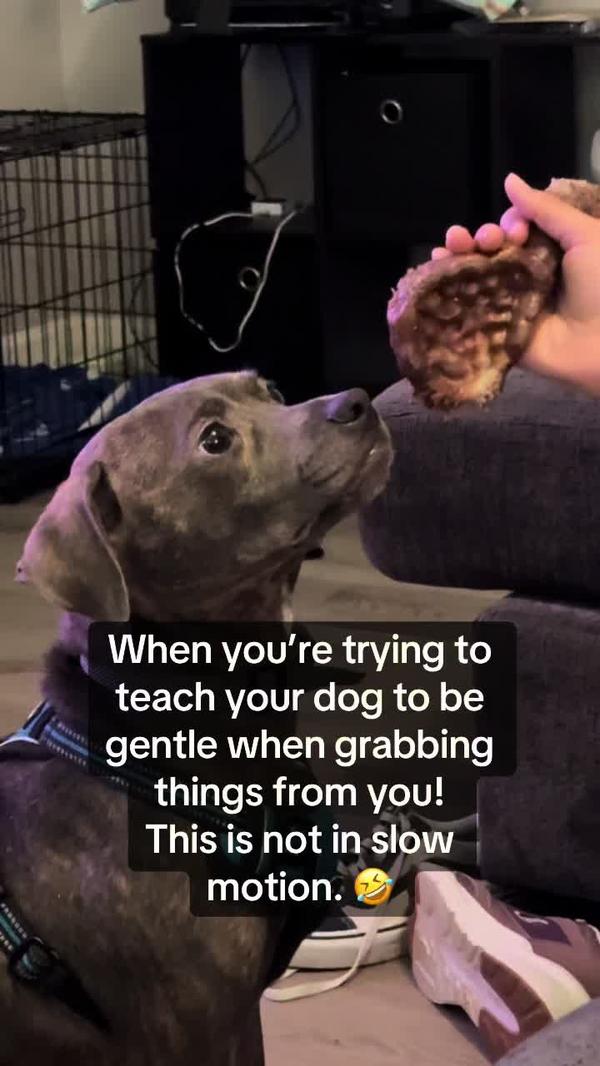 Post by areismanlife