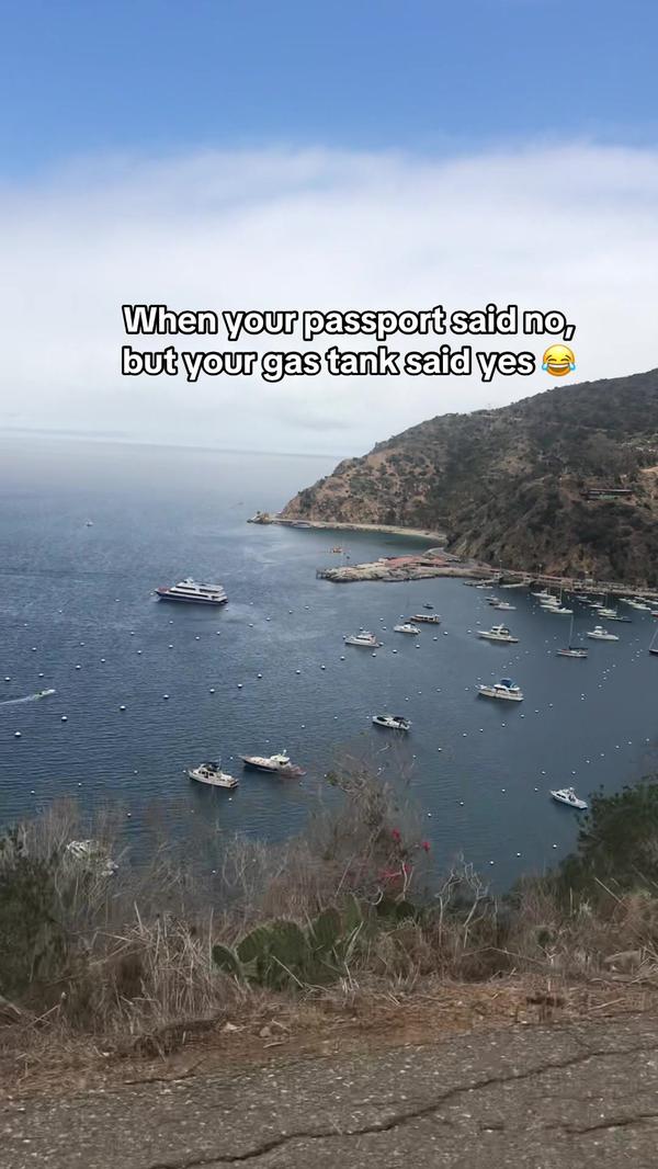 Post by dricka_hester