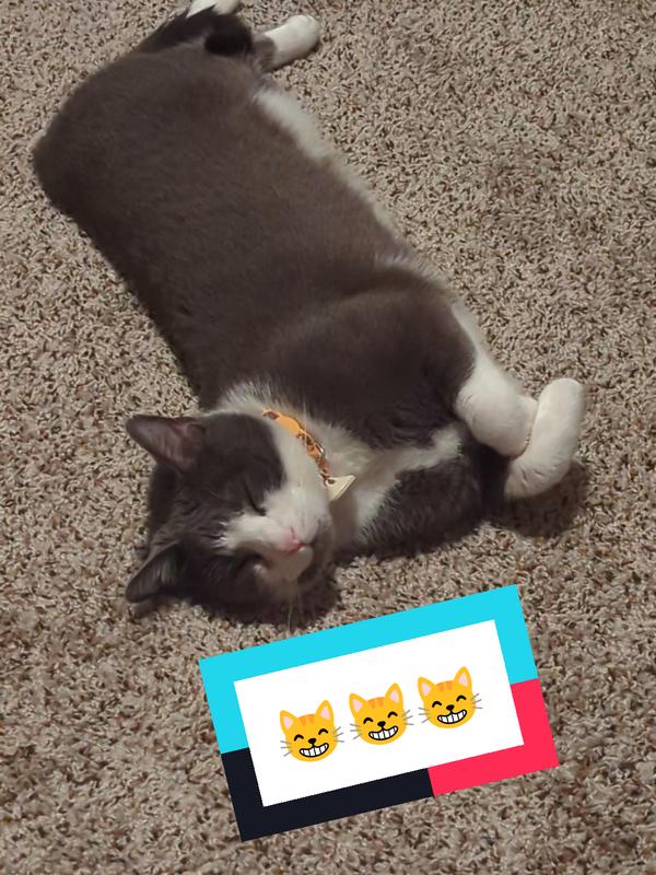 Post by theladykatarina