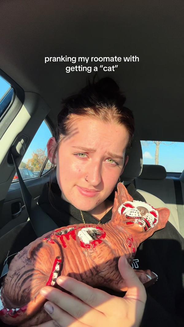 Post by megann_cook11