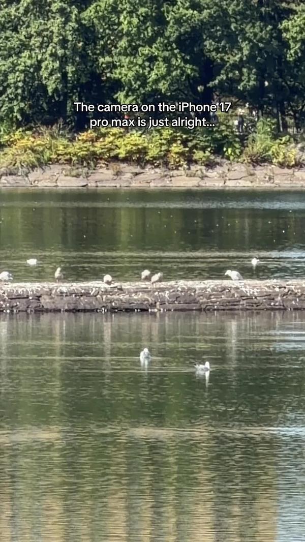 Post by luxedailyfinds