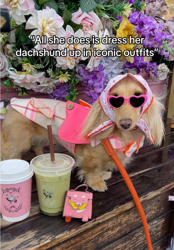 Post by clementinethedox