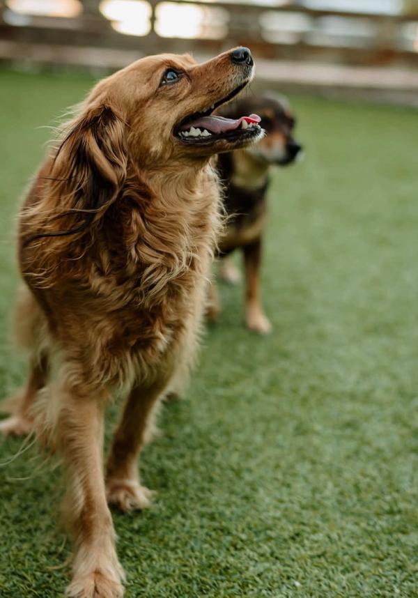 Post by lorenevon.ugc