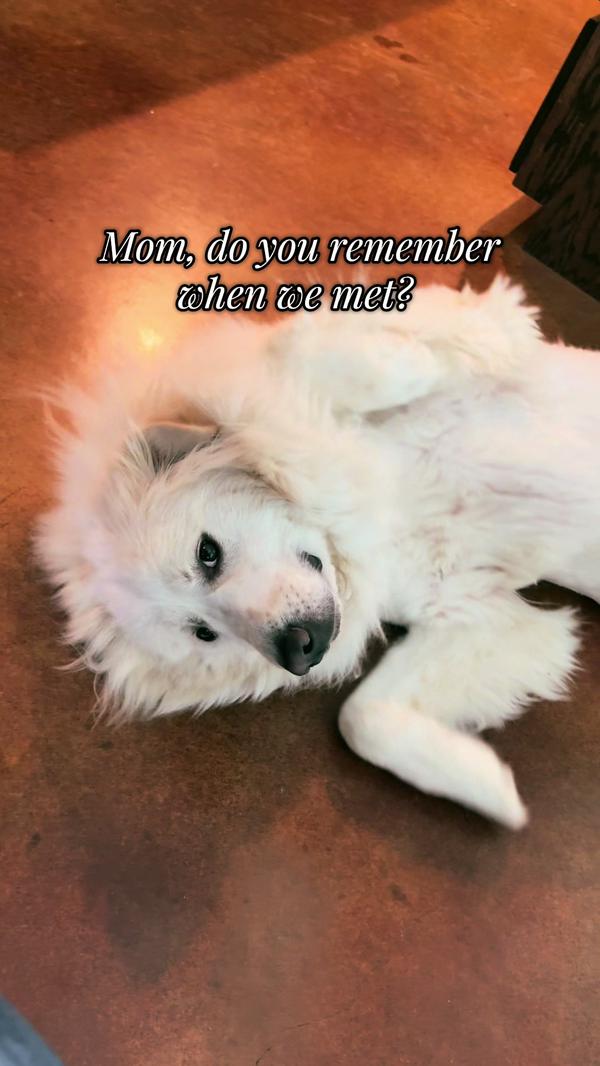 Post by ginlbjohnson