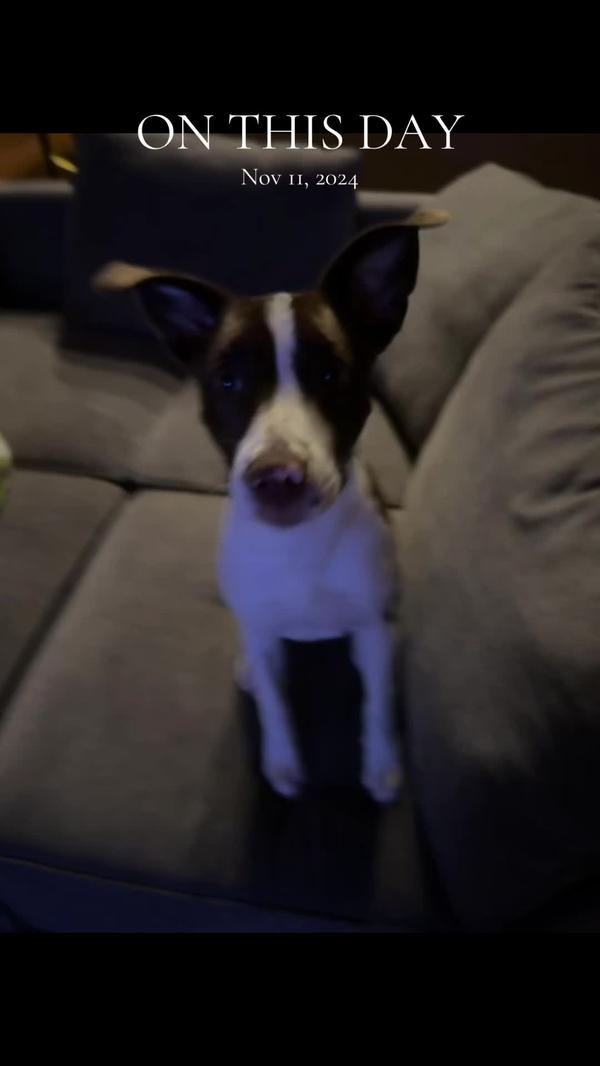 Post by theirontractor