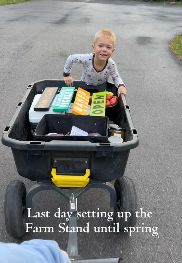 Post by lifeaftersped