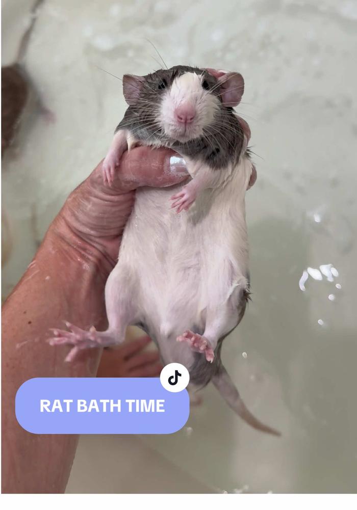 Post by kristin_the_mom