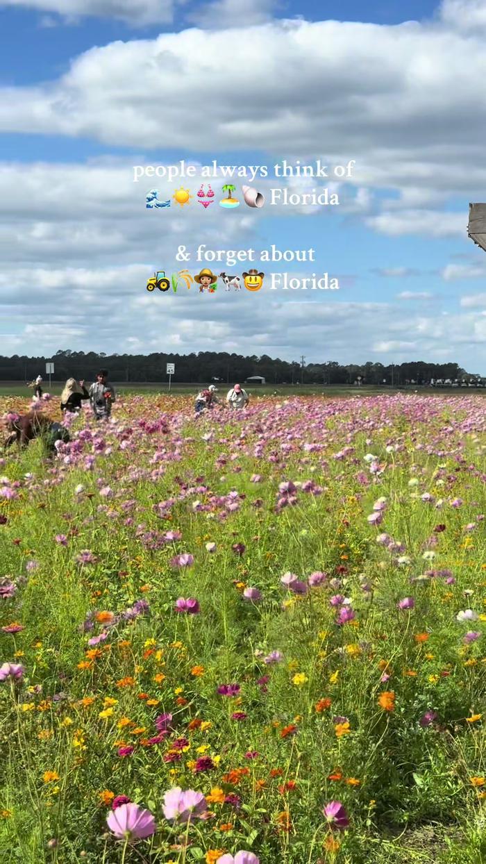 Post by jordanmksmith