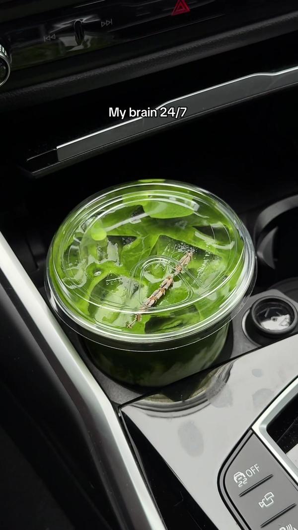 Post by maryam_shinali