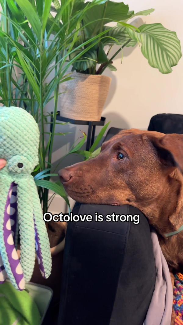 Post by sammarieofficial