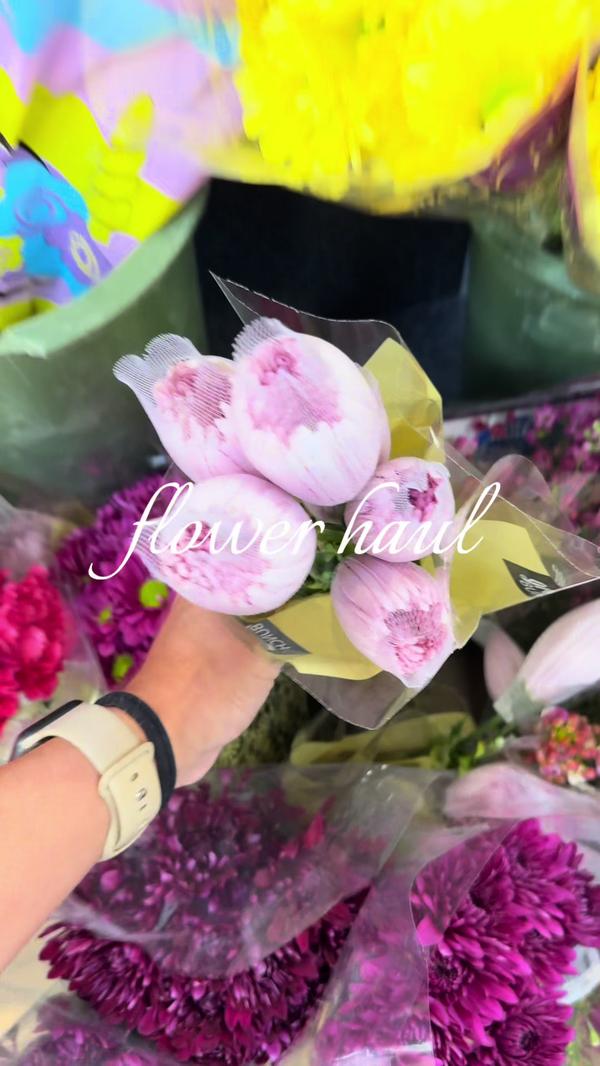 Post by daniellec_social