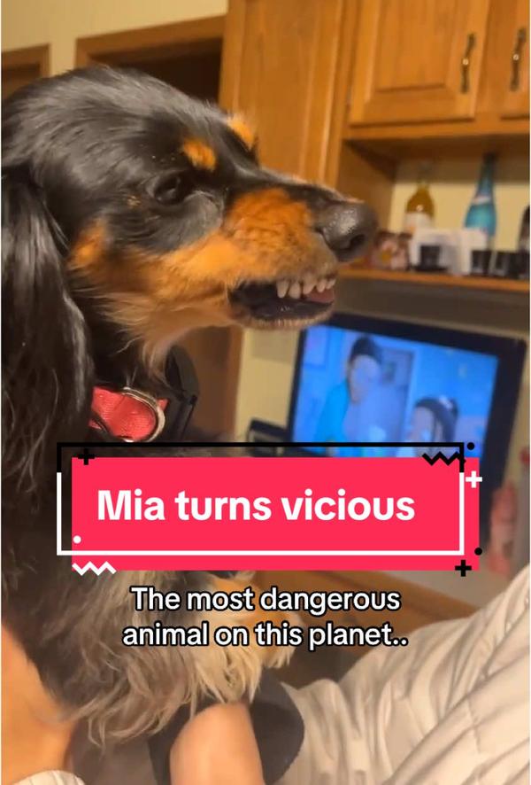 Post by mammamiadoxie1