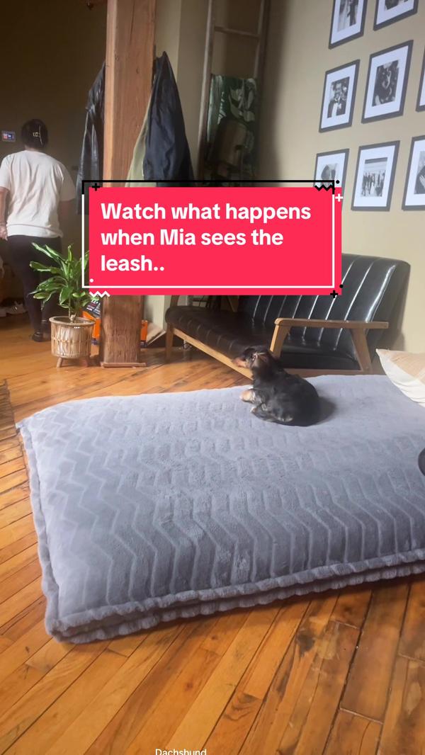 Post by mammamiadoxie1