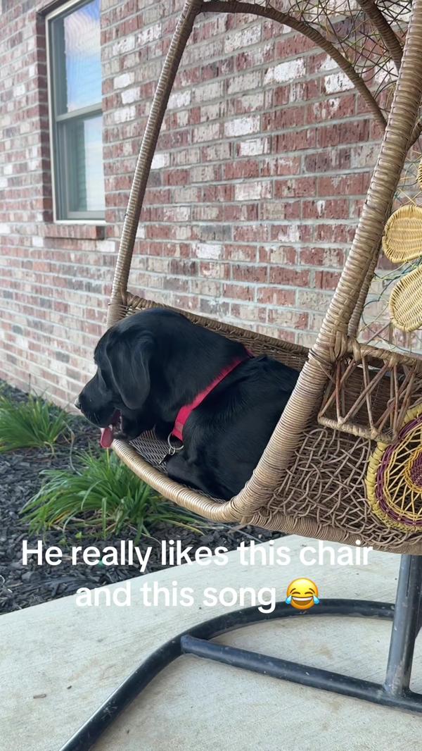 Post by reginageorge201