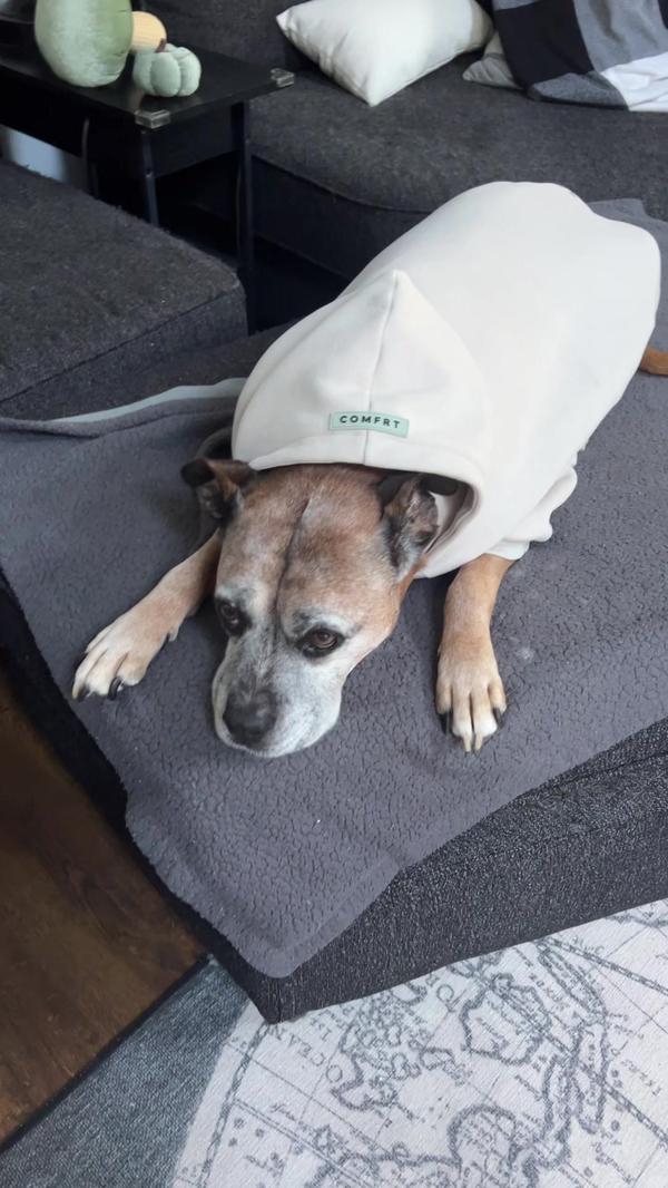 Post by justtravelynn