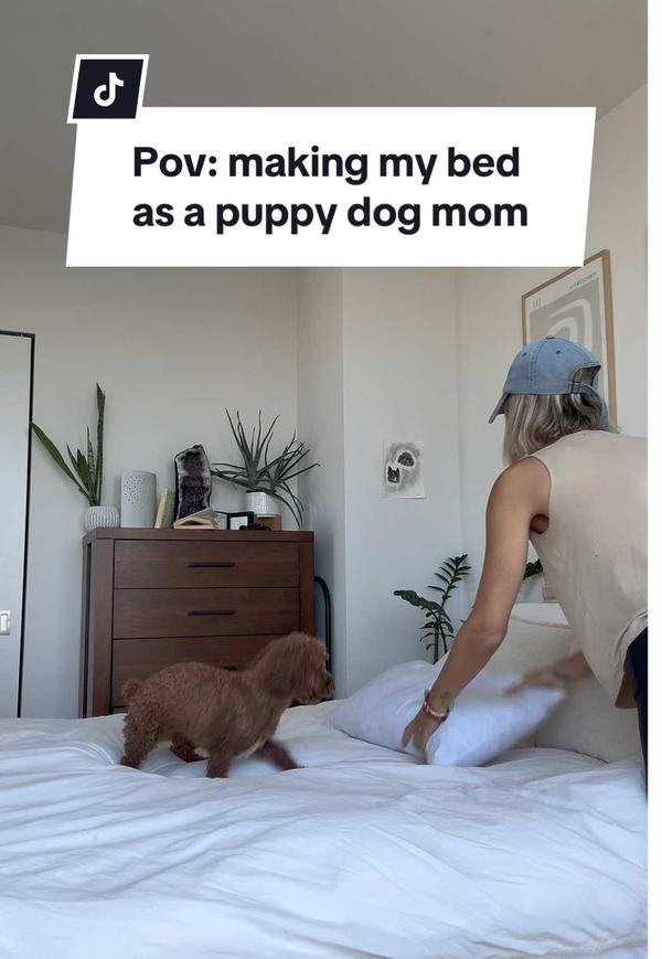 Post by itsmejaclynmarie