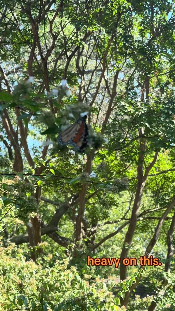 Post by kaylamendoza95