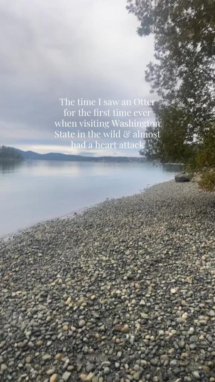 Post by laurenparrish27