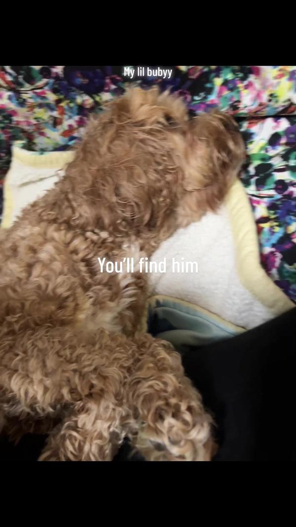 Post by sandithecreator