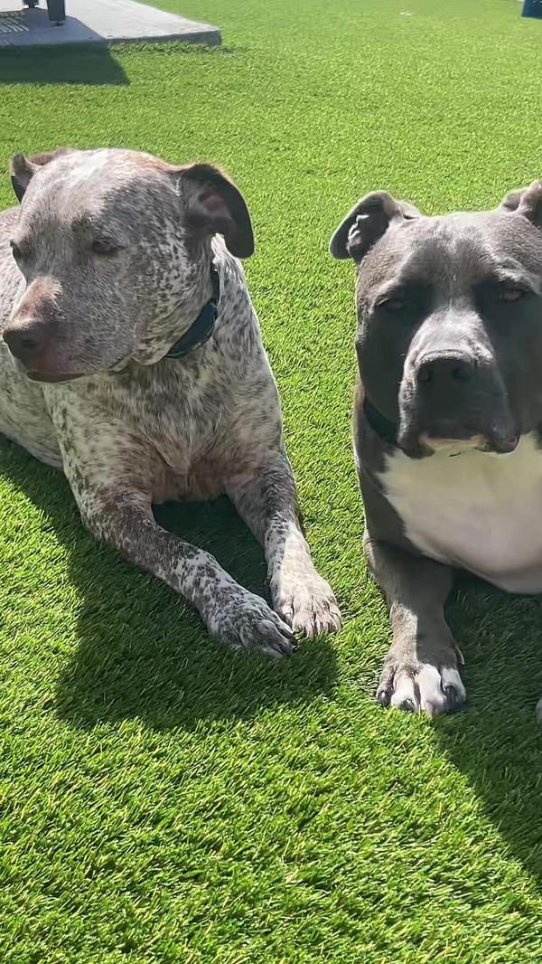 Post by sammistoenner