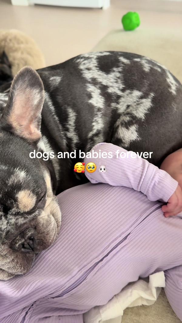 Post by rachelmulherin