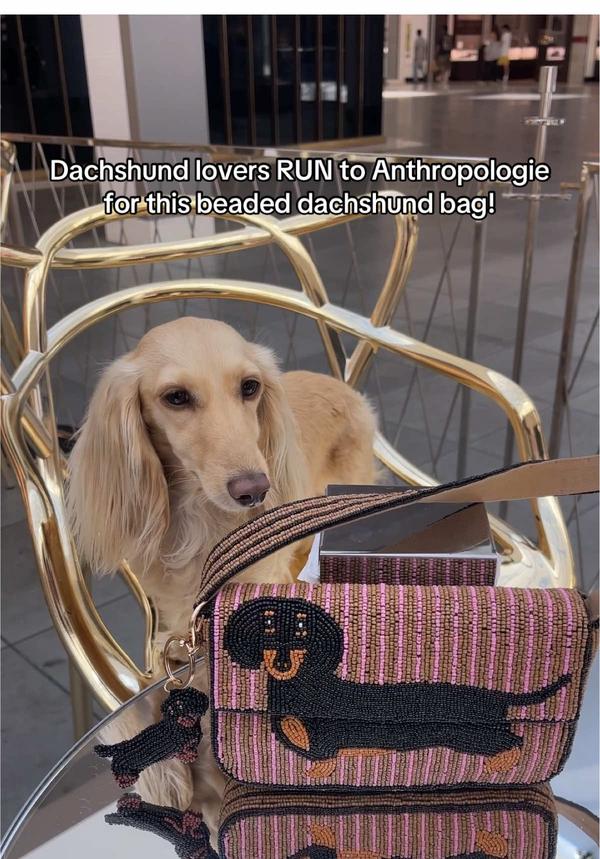 Post by clementinethedox