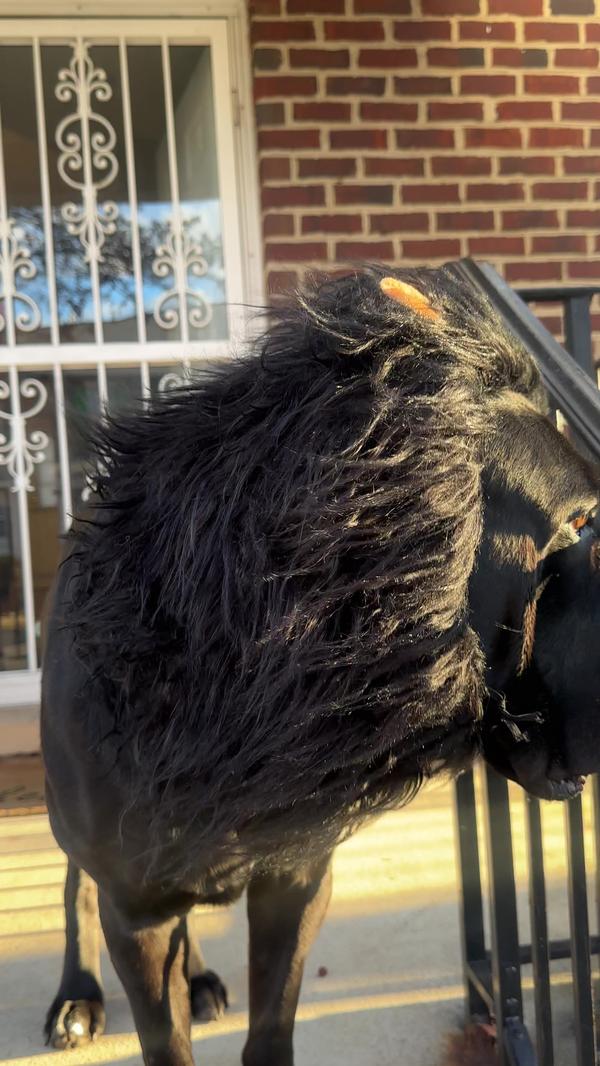 Post by baskintheglory_