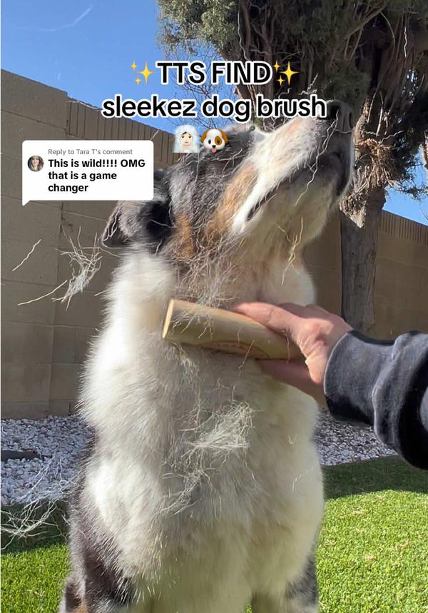 Post by onlyjenthings