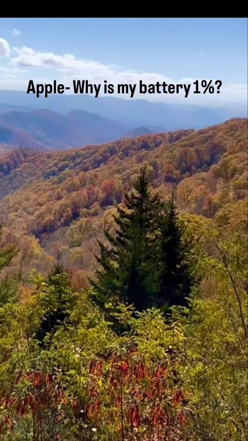 Post by poojachoudhary021