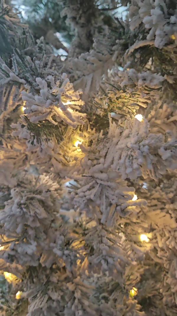 Post by danielle.momto3