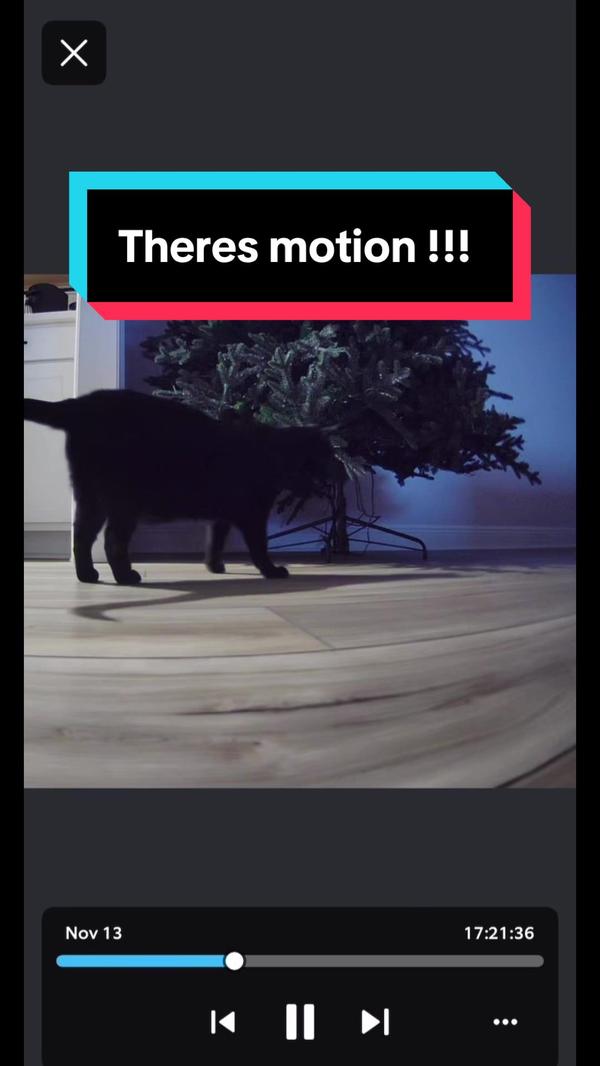 Post by the_travelling_brit