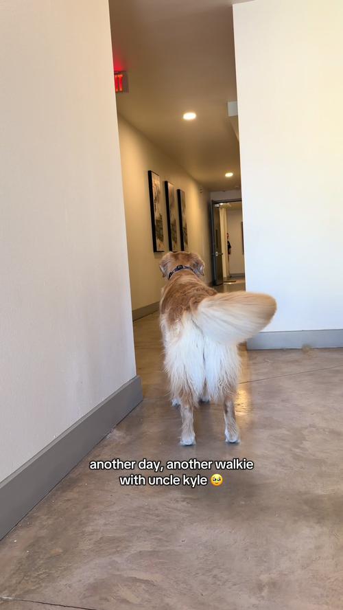 Post by paigerochellee