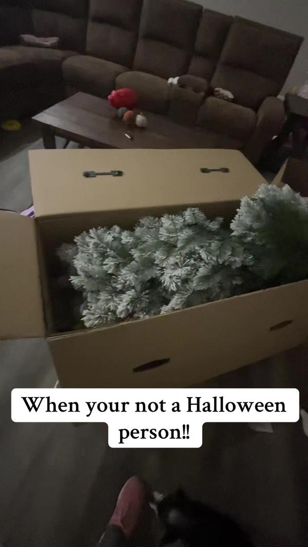 Post by skylerfromalabama