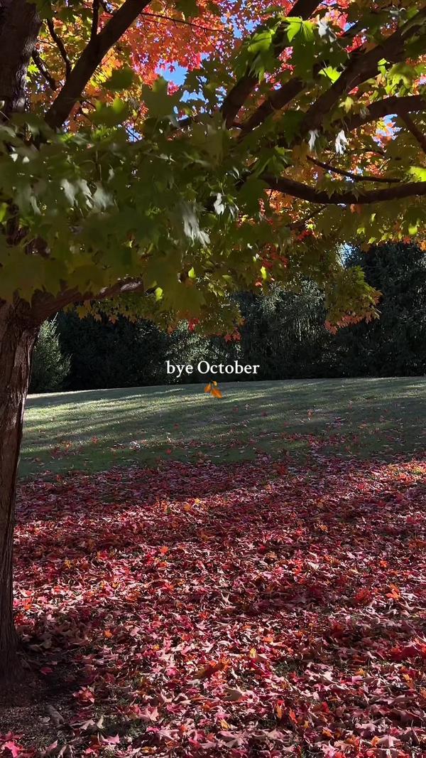 Post by traciekweaver