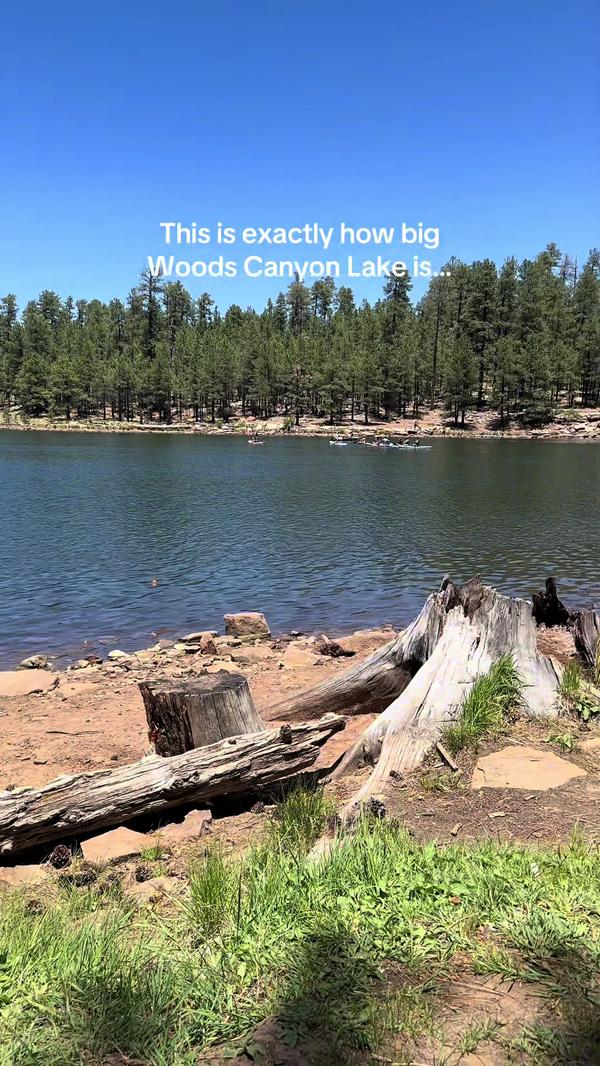 Post by emilyrussellsprout