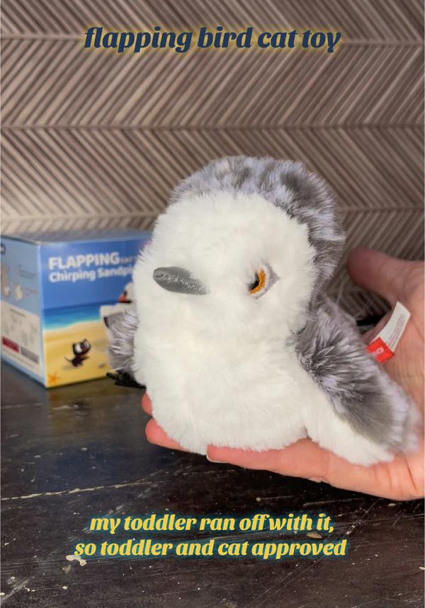 Post by brownchknbrowncow